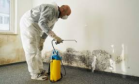 Why You Should Choose Our Mold Remediation Services in Dekal, IL